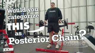 What is the Posterior Chain?
