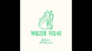 2 Hours Jazzu0026newage   Waltz  Instrumental   Brand Name Johann Schutmaniawalzer Vol40