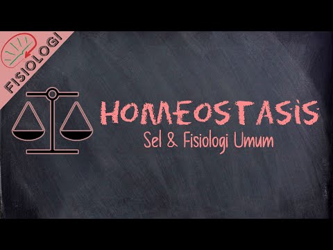 Homeostasis | Pengantar Fisiologi: Sel dan Fisiologi Umum