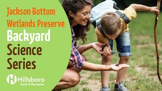 Backyard Science Series - What Makes a Bird a Bird
