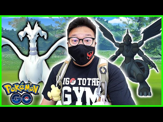 Pokemon Go Shiny Zekrom