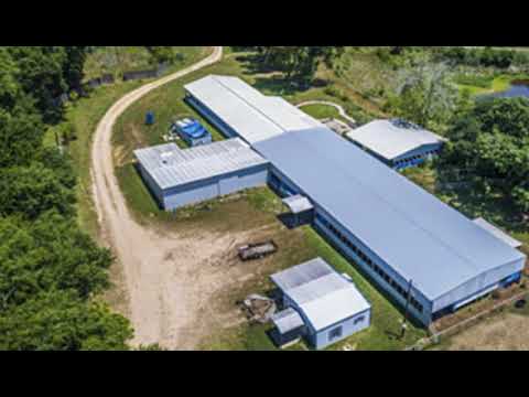 6387 Hwy 93, Arnaudville, LA home video tour