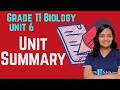 Grade 11 Biology Unit 6:Unit Summary | Summary