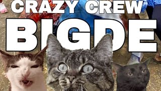 Angel Glamour - Bigde Crazy Crew