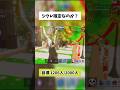 【再投稿】シクレ確定なのか…？【フォートナイト・Fortnite】#stealthebrainrot #fortnite #shorts