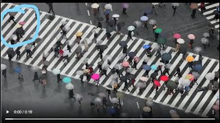 Crowd Motion Prediction Video Net Worth