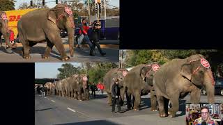 CCRRF Circus Train
