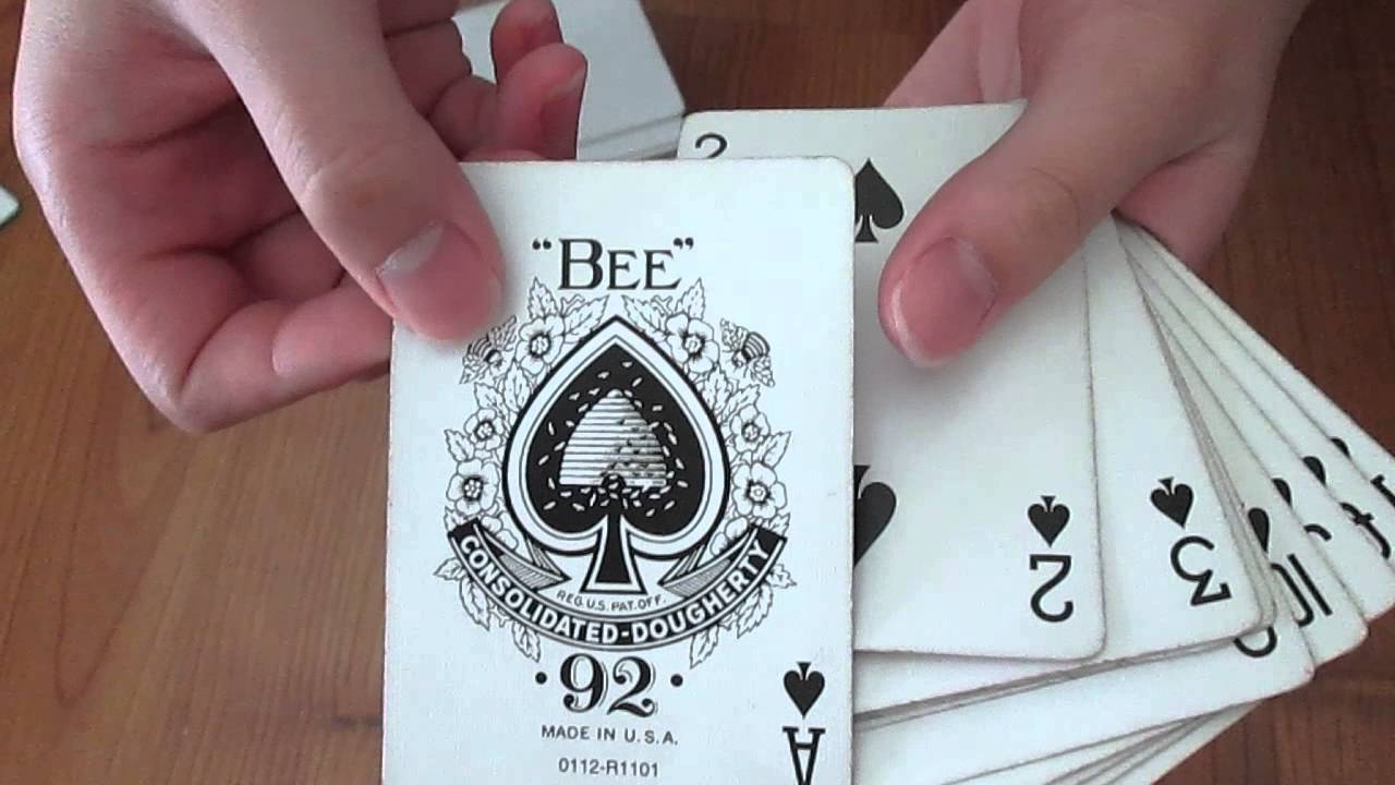 Bee deck vs Bicycle rider back YouTube