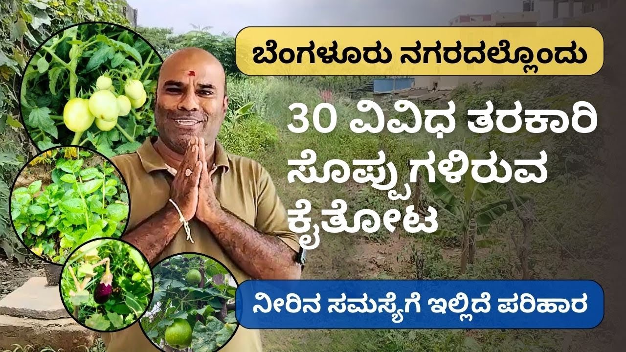 ಬೆಂಗಳೂರು ನಗರದಲ್ಲೊಂದು ವಿಶೇಷ ಕೈತೋಟ @ಗುರು ಗಣೇಶ್ ಜಿ -9731996028