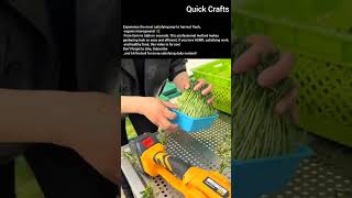 :Satisfying Harvest! 🌿 Cutting Microgreens Like a Pro #shorts