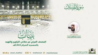 سورة المرسلات لفضيلة الشيخ د. بندر بليلة