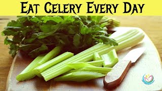 If You Eat Celery Every Day For A Week, You Might Notice These Changes In Your Body