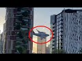 Incredible Footages C17 Globemaster Flying Low in Brisbane
