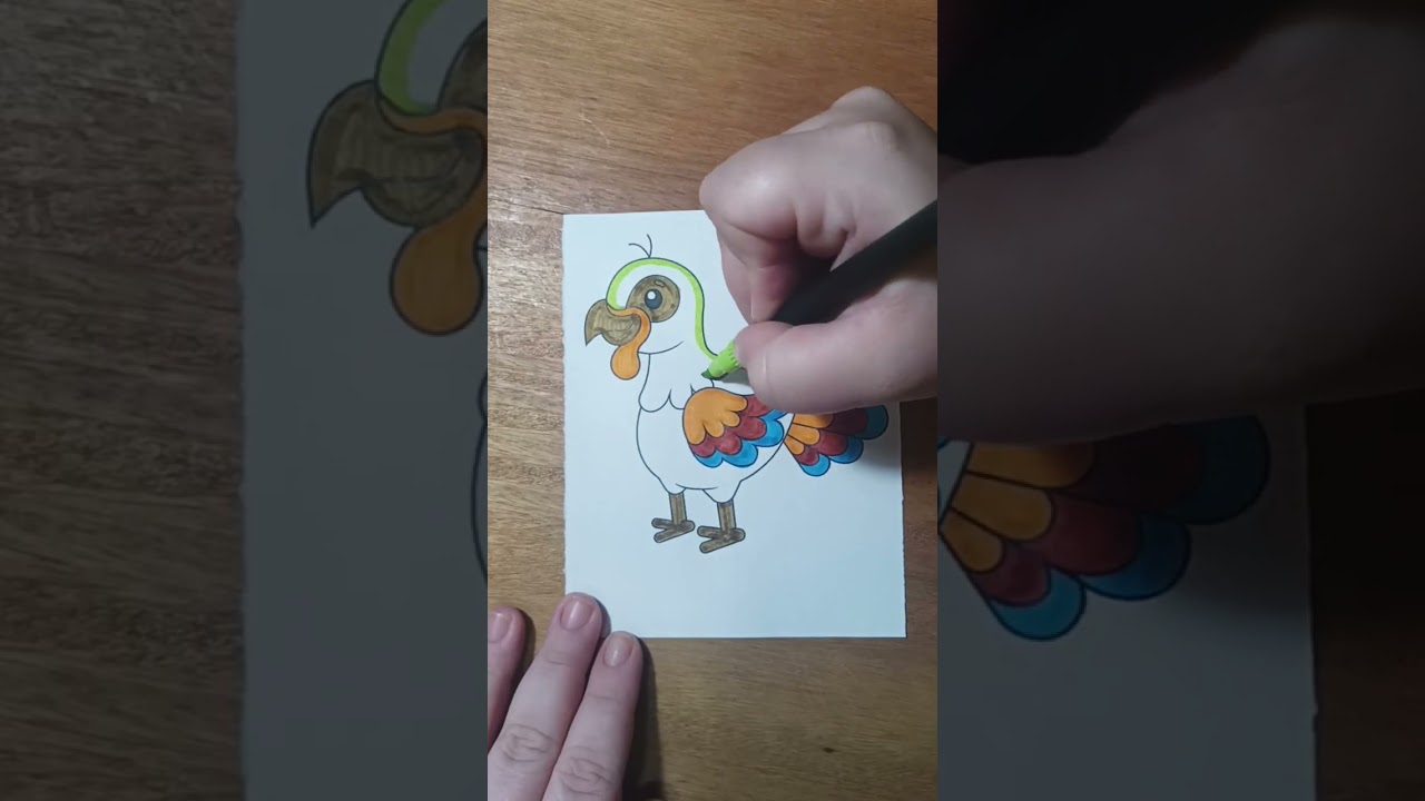Colors That Soar with the Turkey! 🦃🌈🎨