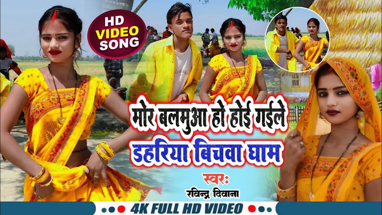 video #मोर_बालमुआ_हो_होई_गईले_डहरिया_बीचवा_घाम #रविन्द्र_दिवाना #dance #dhobigeet #video #videogana