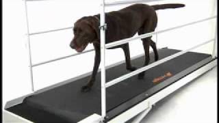 PetRun PR720F Dog Treadmill GoPet