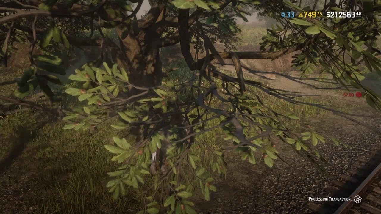 RDR2 Online Horse malnourished or thin? Do this to make it fit again