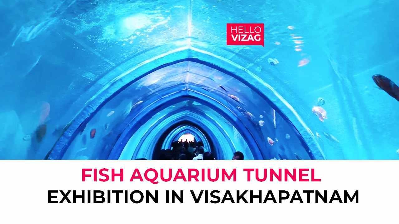Fish Aquarium Tunnel Exhibition in Visakhapatnam Vizag Fish Tunnel