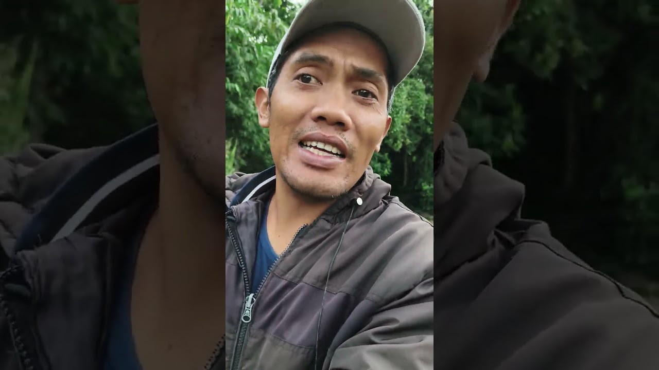 Sumber NGLAJO #mataair #airbersih #hutan #pdam #alam 