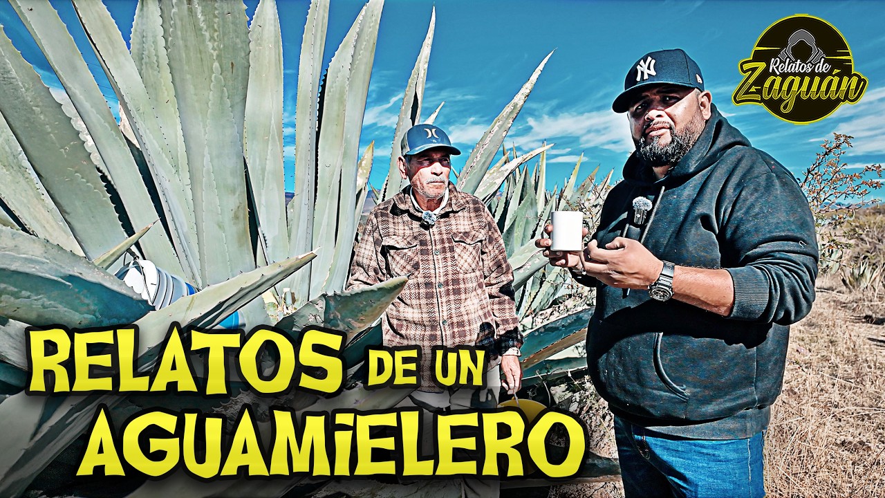 VIMOS A UN JINETE DE NEGRO, le HABLÉ Y NO ME CONTESTÓ !!