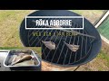 RÖKA ABBORRE # BENFRI OCH GAMMELDAGS # - fiske kanalen - så gör då jag (eng sub) how to smoke perch