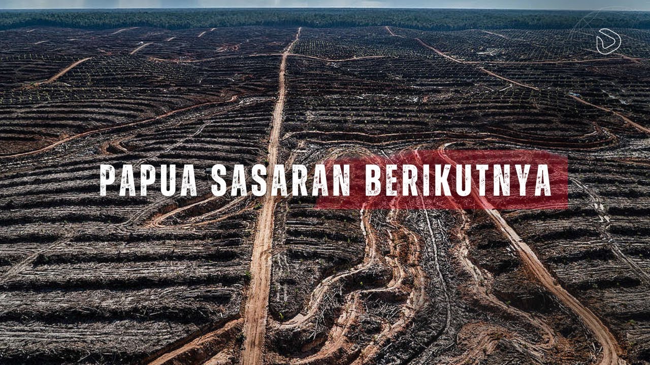 Papua: Sasaran Penghancuran Hutan Berikutnya