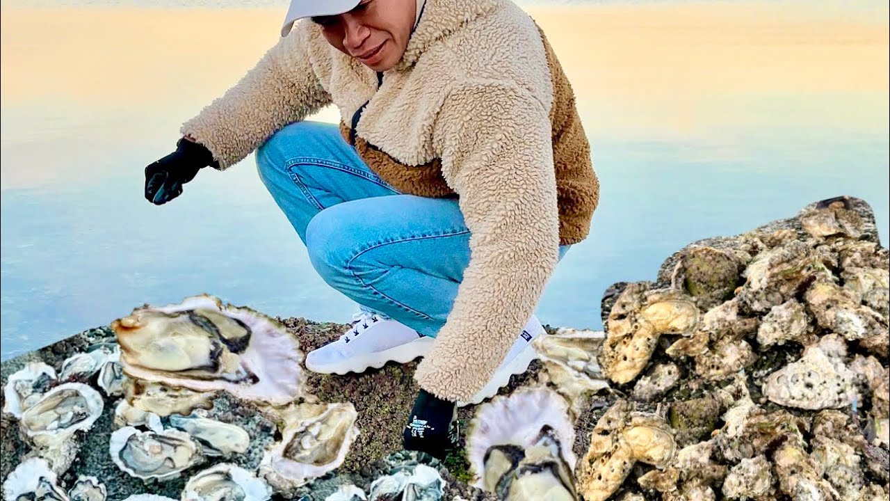 Savoring The Flavors of the Sea Oyster Hunting in Victoria BC Canada