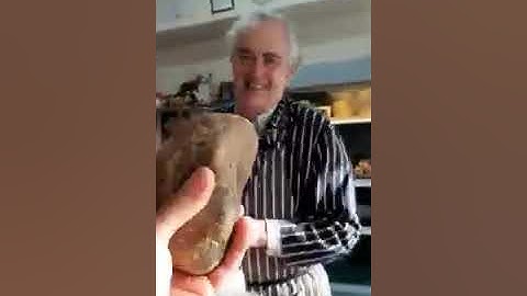 Petrified Heart and Kidney verified by Butcher! (mirror)