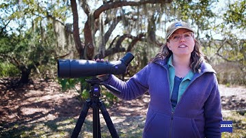 Catherine Hamilton about the ZEISS Victory Harpia 95 Spotting Scope