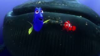 Finding Nemo Whale
