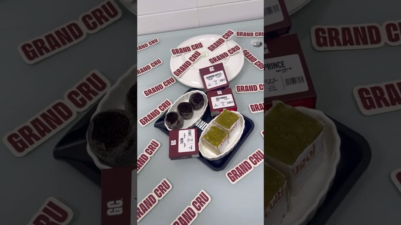 Начало сезона выращивания растений на открытом воздухе 🌳 