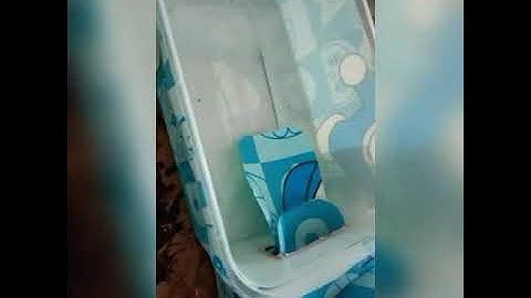 Tempat makan kucing Otomatis Berbasis Arduino
