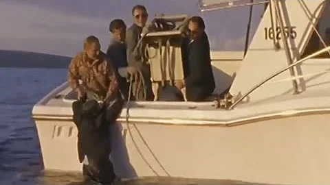 Blue Murder miniseries: Brian Alexander is drowned...