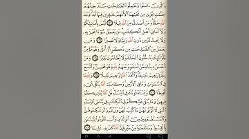 ماهر المعيقلي سورة النساء مكتوبة صفحة 98 مصحف المدينة المنورة جودة عالية