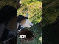 Iluminação de jardim sem danificar a grama