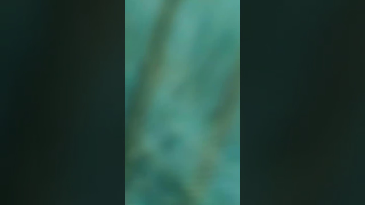 Dangerous bullet from fire en eggs