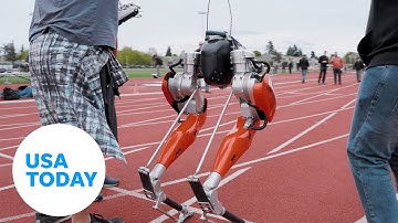 ‘Cassie’ sets world record for fastest 100 meters by a bipedal robot | USA TODAY