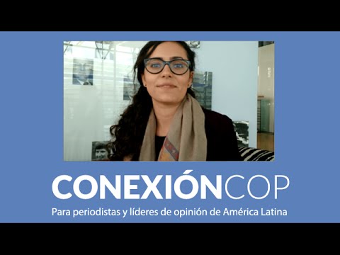 Negociaciones de Bonn - Entrevista a Marcela Jaramillo, E3G