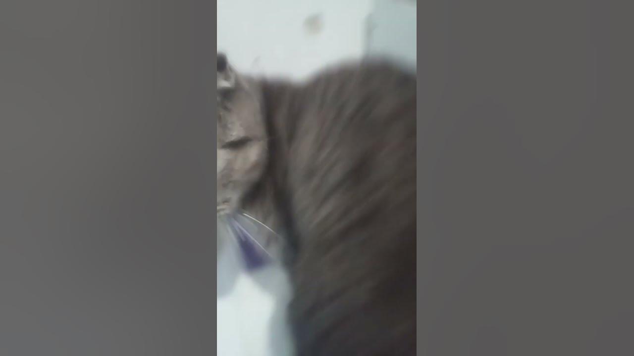 коска - YouTube