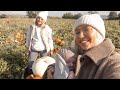 A Cosy Autumn Weekend Vlog | Pumpkin Picking, Lush Halloween Haul + More