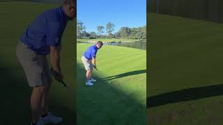 Tpc Sawgr Stadium Course Hole 17.