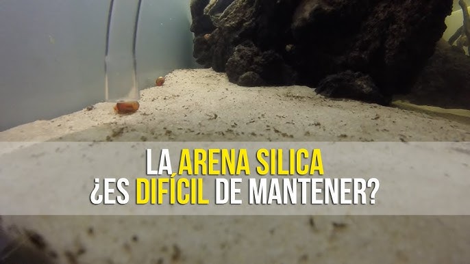 Arena de sílice de Sakana – FiremouthAquaristic