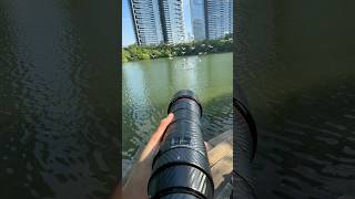 How far can a 600mm telephoto lens reach? #Photography