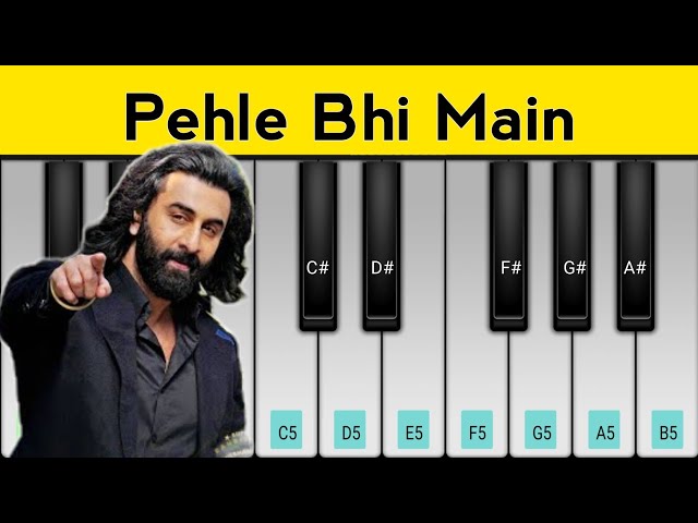 Pehle Bhi Main Piano Tutorial | Animal | Ranbir Kapoor class=