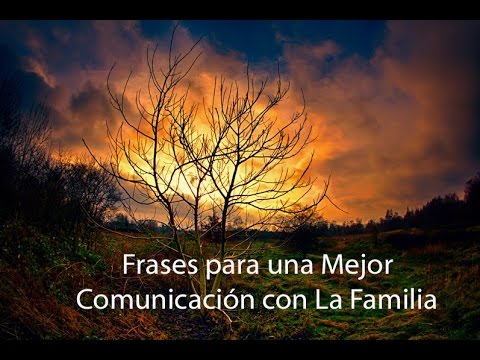 Frases para una Mejor Comunicación con La Familia. - YouTube