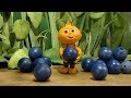 Fifi and the flowertots  1 hour compilation  full episode  cartoon for children 