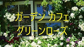 Garden Cafe Green Rose ガーデンカフェ グリーンローズ Youtube