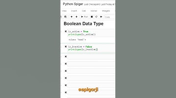 Boolean Data Type.... #python #ai