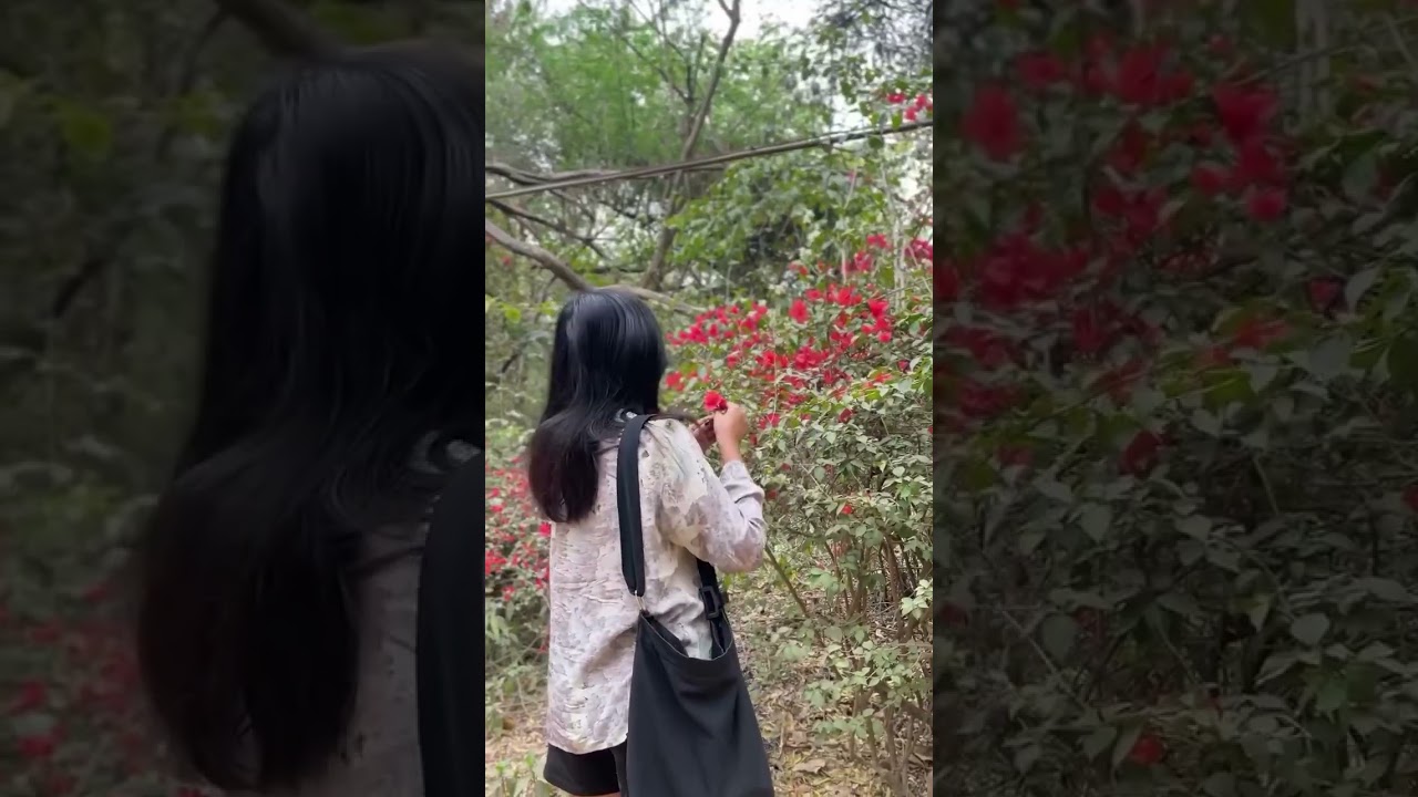 Naturally Dyed Eco-Printed Shirt for Women | Sustainable Fashion & Botanical Prints