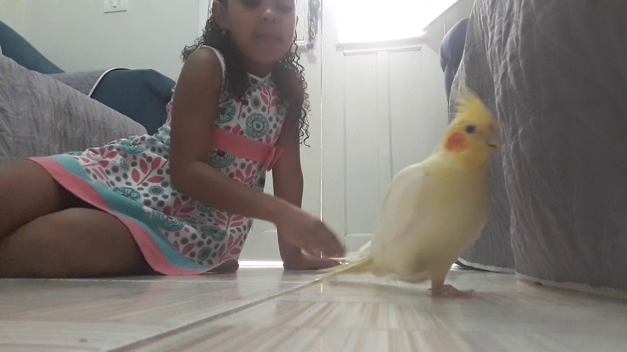 Eu e meu pássaro de estimação (O Léu) ❤🎀